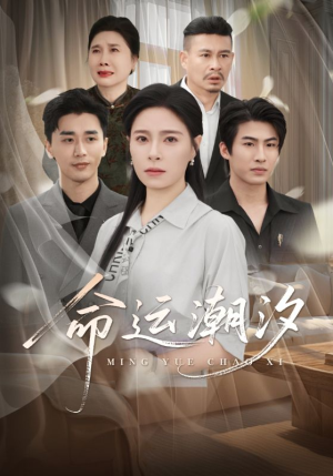 命运潮汐（62集）热播短剧全集看