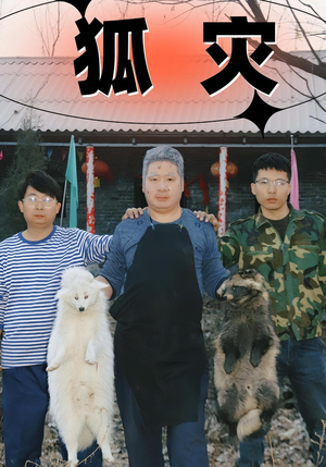 狐灾（25集）超火热门短剧