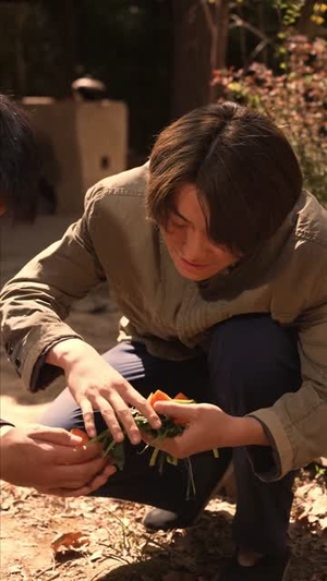 兔灾(25集) 兔灾(25集)免费短剧完整版