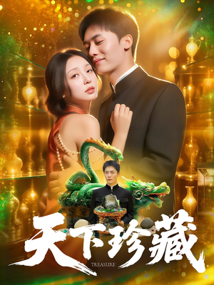 天下珍藏（105集）360网盘观看