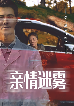 亲情迷雾（30集）爆火短剧追不停