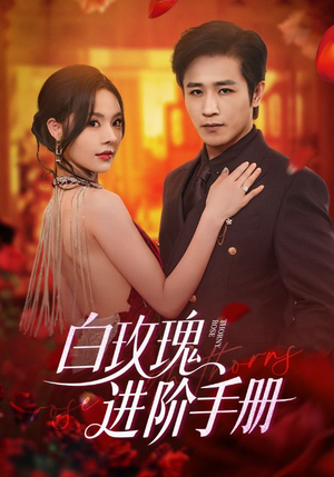 白玫瑰进阶手册（64集）全剧免费观看