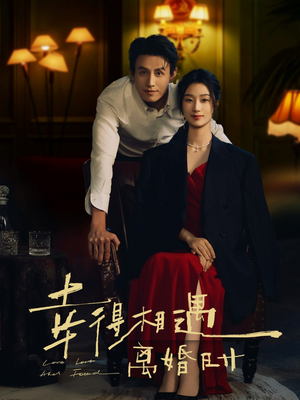幸得相遇离婚时（81集）在线观看