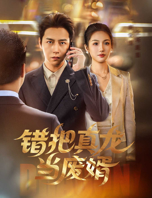 错把真龙当废婿（60集）超好看的短剧
