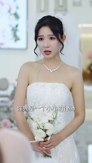 错把真龙当废婿（60集）每日短剧追不停