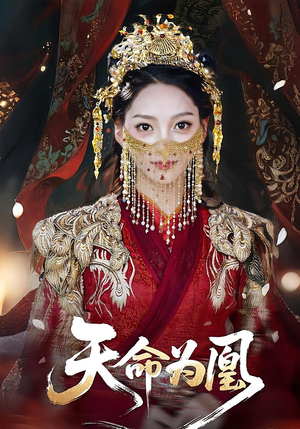 天命为凰（69集）零花钱看整部剧