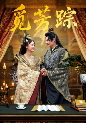 觅芳踪（91集）超火短剧抢先看