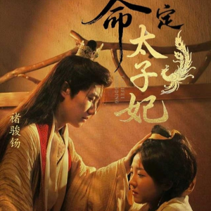 命定太子妃（63集）西瓜短剧免费看