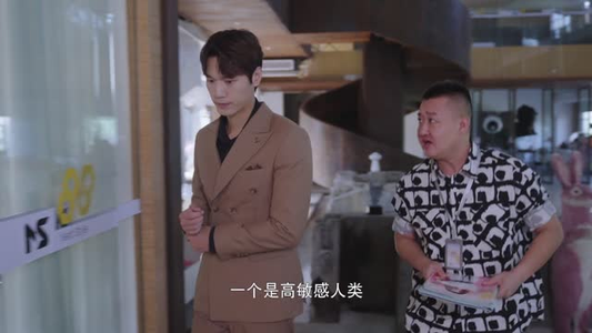 对不起我磕到你了（20集）全季一次看完