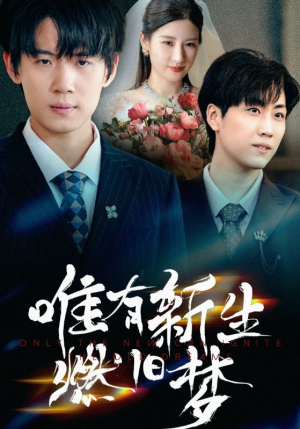 唯有新生燃旧梦（55集）免费版