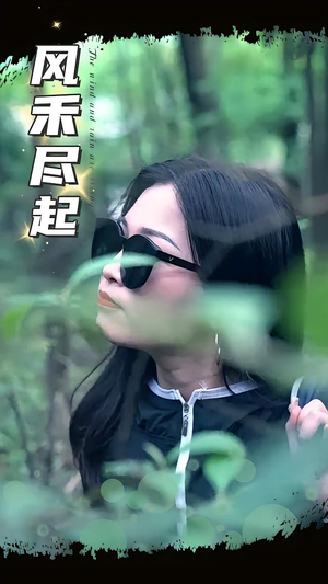 风禾尽起（31集）精彩短剧合集