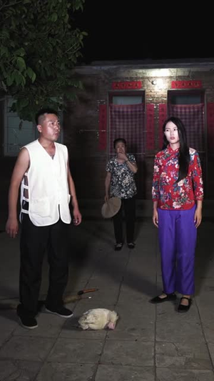 婴怨（30集）一起看短剧