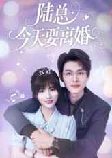 陆总今天要离婚（81集）热门短剧推广