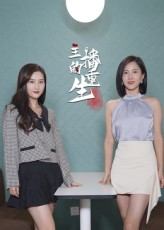 主播的重生（15集）超级好看的短剧