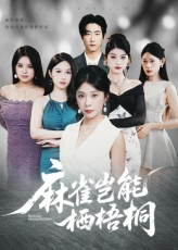 麻雀岂能栖梧桐（31集）免费看短剧全集