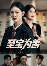 至宝为善（60集）80到100集