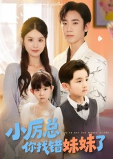 小厉总你找错妹妹了（52集）真的好看吗