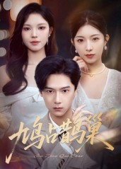 顶流夫人的致命陷阱（70集）海量资源免费看