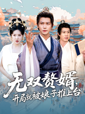 无双赘婿开局就被娘子推上台（80集）1-102集
