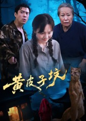 黄皮子坟（35集）一口气追完全集