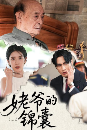 姥爷的锦囊（63集）精彩短剧热播