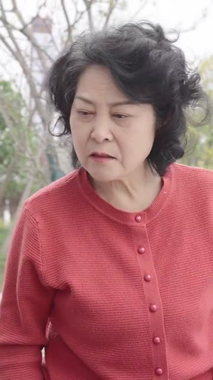 晚风知我意（50集）短剧热门合集