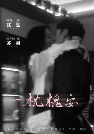 一枕槐安（80集）怎么看全集