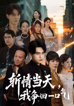斩情当天我争回一口气（80集）80到100集