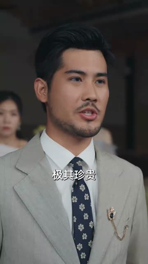 为了娶媳妇我研究纳米光刻机（66集）超好看短剧推荐