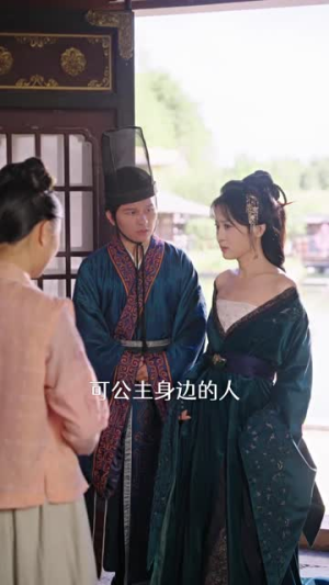 思美人（77集）观看软件