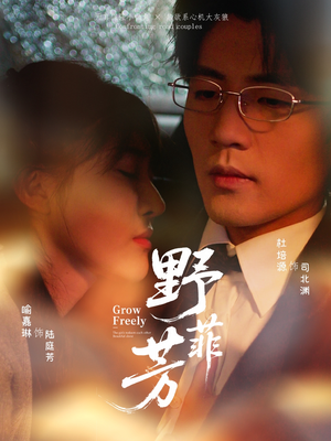 野芳菲（60集）剧情简介