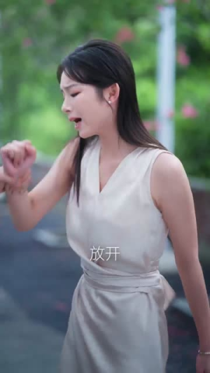 南风过境时爱意尽失（60集）热播短剧抢先看
