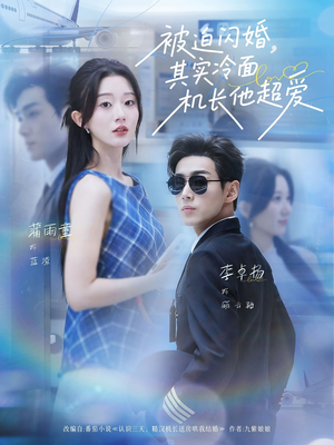 被迫闪婚其实冷面机长他超爱（77集）高分佳作免费看