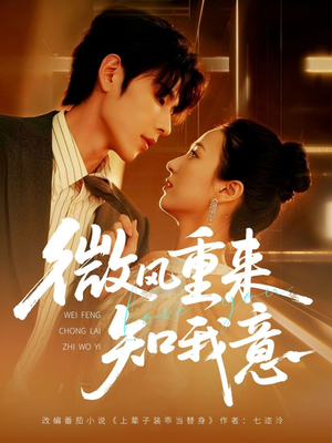 微风重来知我意(62集) 微风重来知我意(62集)热门短剧抢先