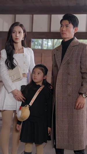 披荆斩棘的奶爸(88集) 披荆斩棘的奶爸(88集)推荐好短剧