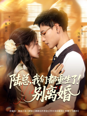 陆总我们都重生了别离婚（79集）常回家看看短剧