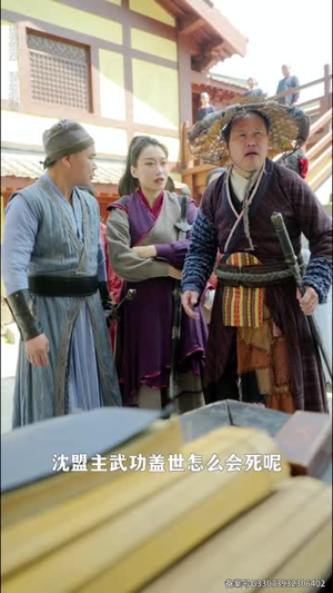 这个武林盟主不太冷（90集）在线播放