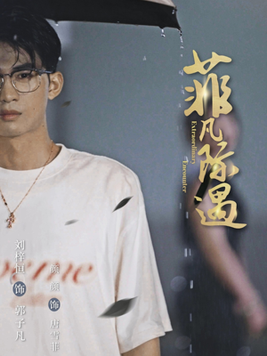 菲凡际遇（100集）番茄免费短剧