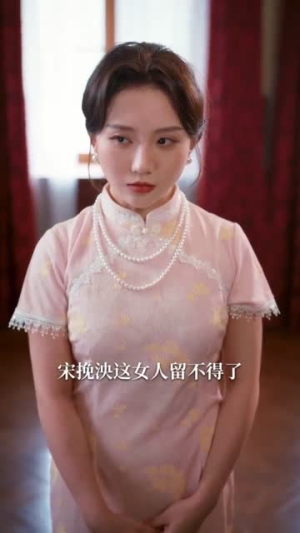 半城烽火半城风月（66集）全集一网打尽
