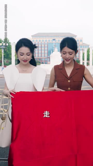 赝品就是赝品（60集）让你一口气看完