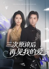 三次原谅后再见我的爱（80集）热播短剧免费看