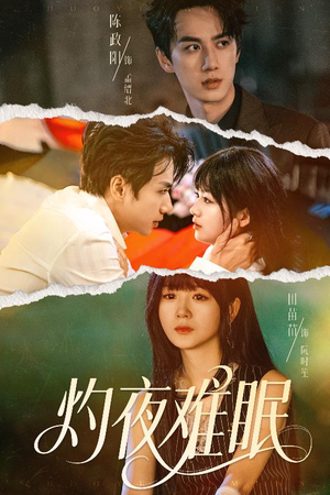 灼夜难眠（60集）直接追到结尾