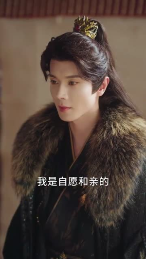 代妹和亲后驸马急疯了（57集）夸克网盘在线看