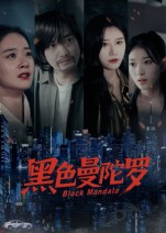 黑色曼陀罗（20集）直接追到结尾