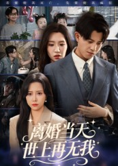 离婚当天世上再无我（60集）热播短剧排行榜
