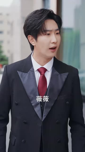 隐龙卧凤（72集）热门短剧推广