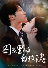 囚笼里的白玫瑰（59集）短剧推荐上热门