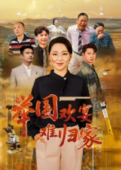 举国欢宴难归家（40集）零花钱看整部剧