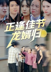 正逢佳节龙婿归（42集）免费短剧资源