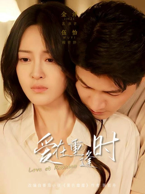 爱在重逢时（65集）免费观看就是爽